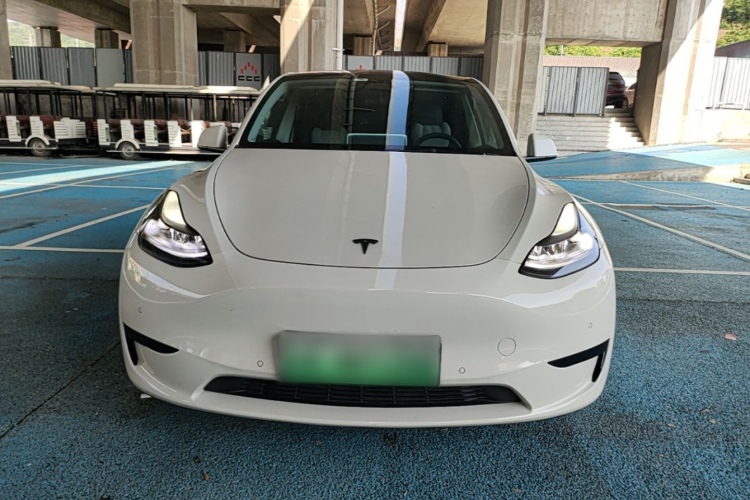 Tesla Model Y 2023 #3 Tesla Model Y 2023 car image #3