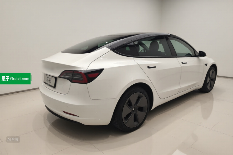 Tesla Model 3 2023 car image #7