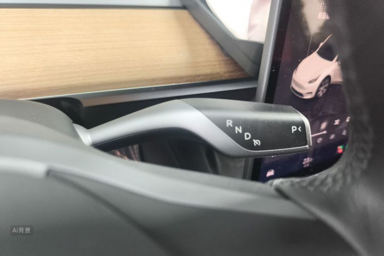 Tesla Model Y 2022 car image #16