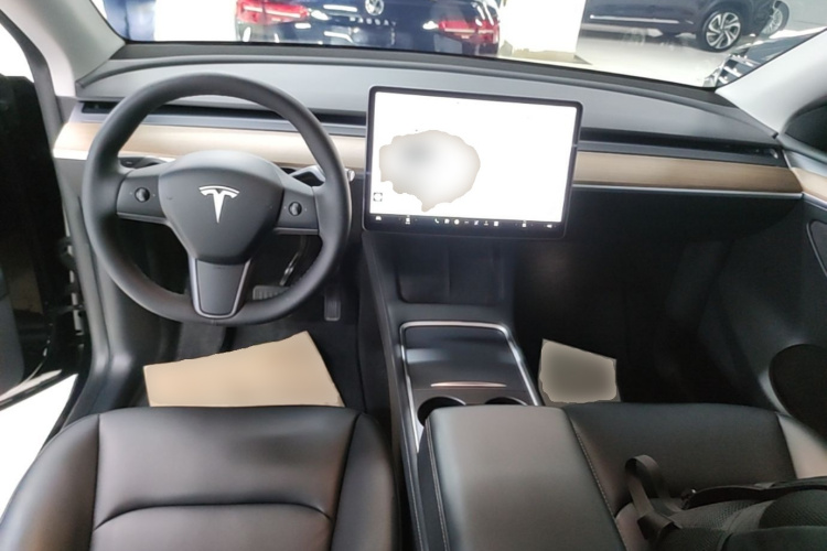 Tesla Model Y 2021 car image #10