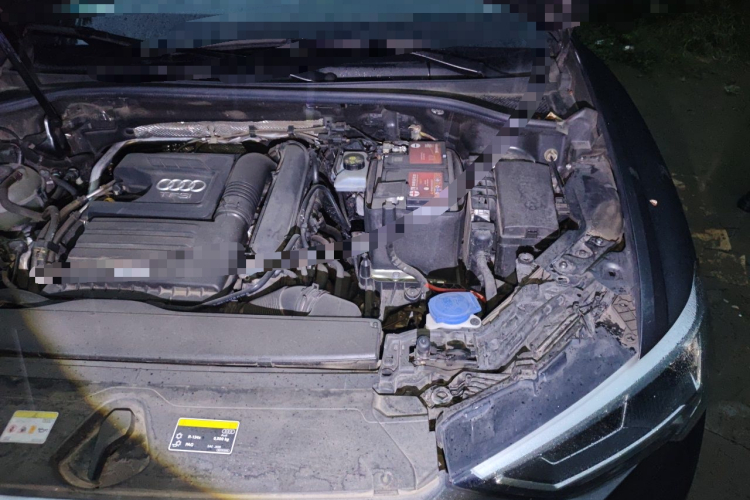 Audi Q3 2022 car image #23
