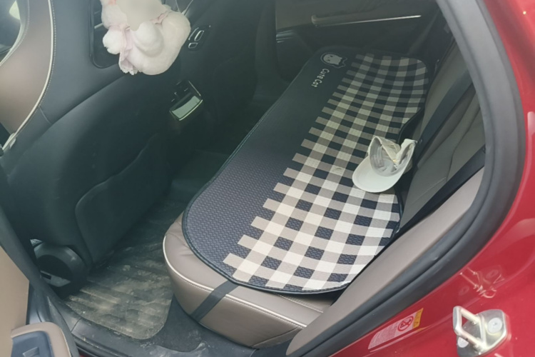 BYD Han 2023 imagen de coche #17