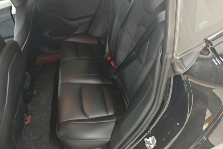 Tesla Model 3 2022 immagine di auto #17