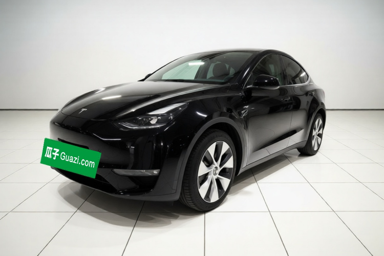 Tesla Model Y 2021 #2 Tesla Model Y 2021 car image #2