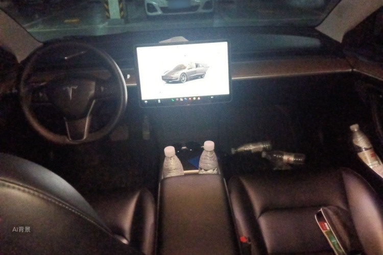 Tesla Model 3 2023 car image #11