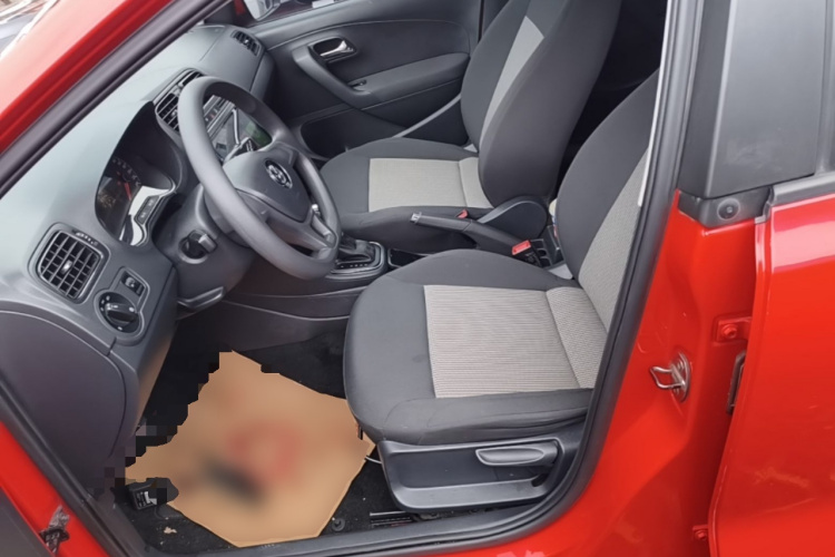 Volkswagen Polo 2018 car image #15