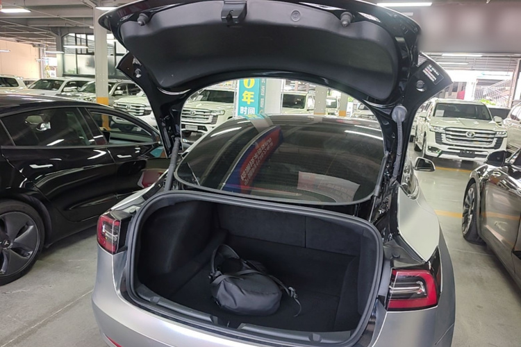 Tesla Model 3 2023 immagine di auto #19