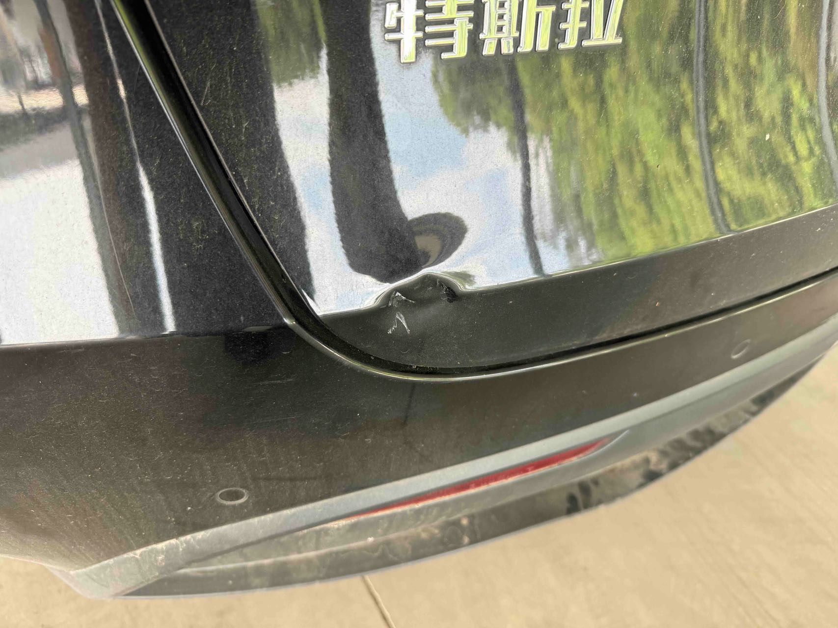 Tesla Model Y 2021 #7 Tesla Model Y 2021 car image #7