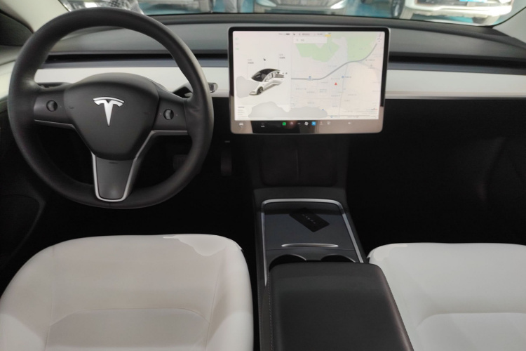 Tesla Model 3 2021 car image #10