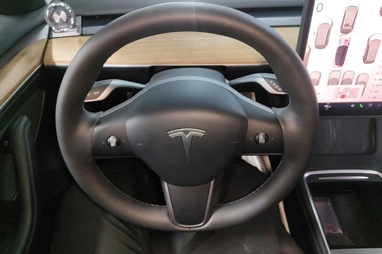 Tesla Model 3 2023 car image #11
