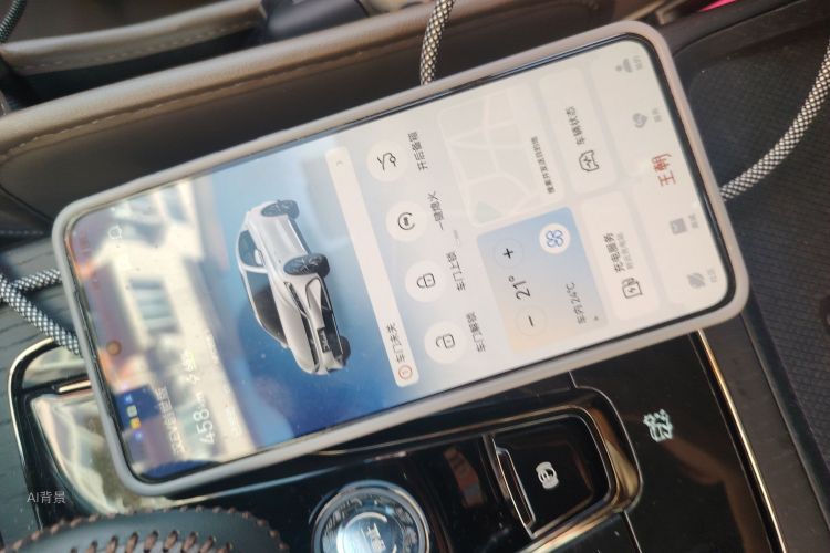 比亚迪 汉 2022 汽车图片 #10