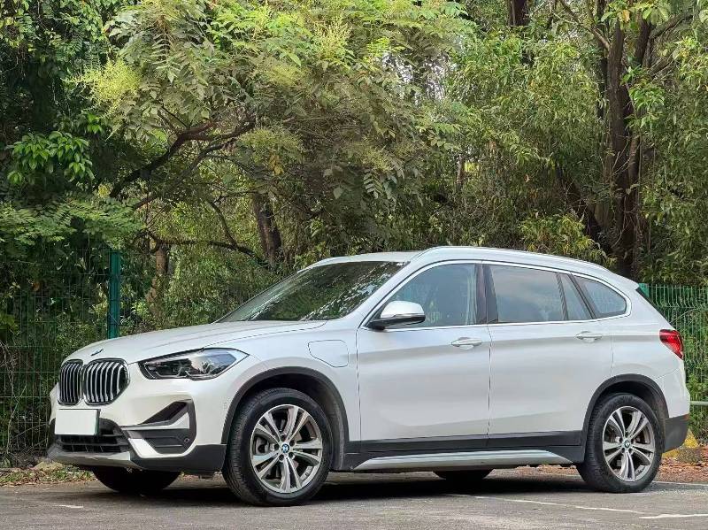BMW X1 New Energy 2020 imagen de coche 