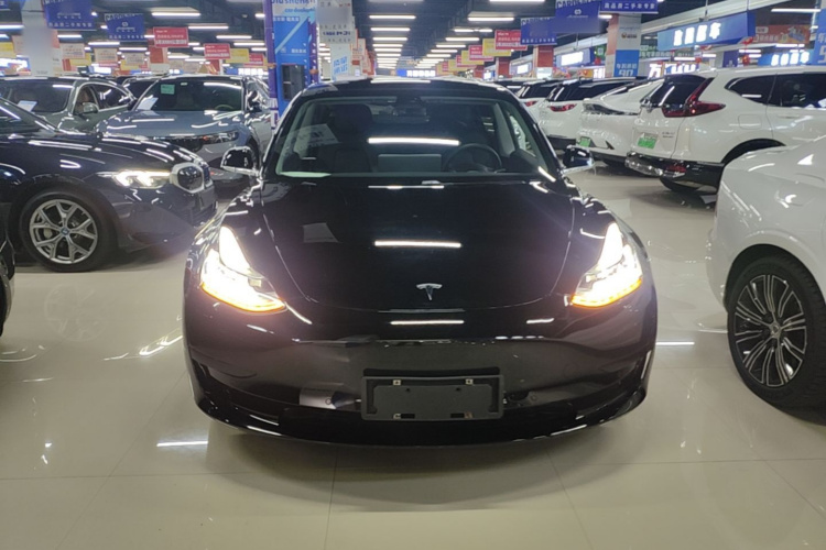 Tesla Model 3 2020 car image #3