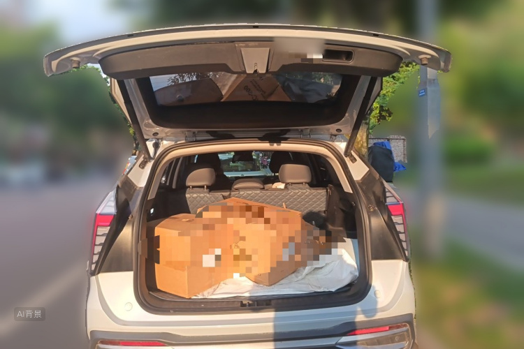 GEELY Boyue L 2024 car image #21