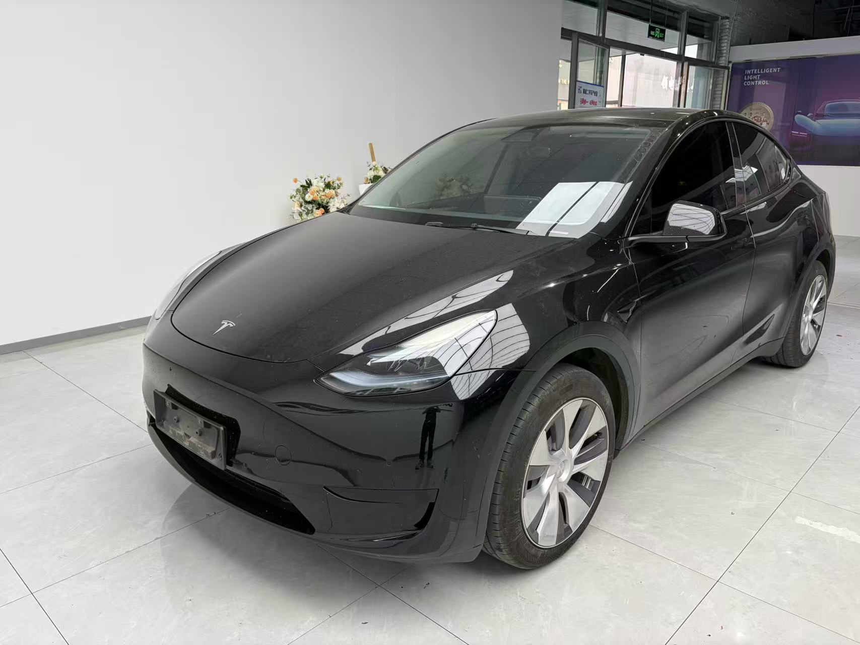 Tesla Model Y 2023 Tesla Model Y 2023 car image