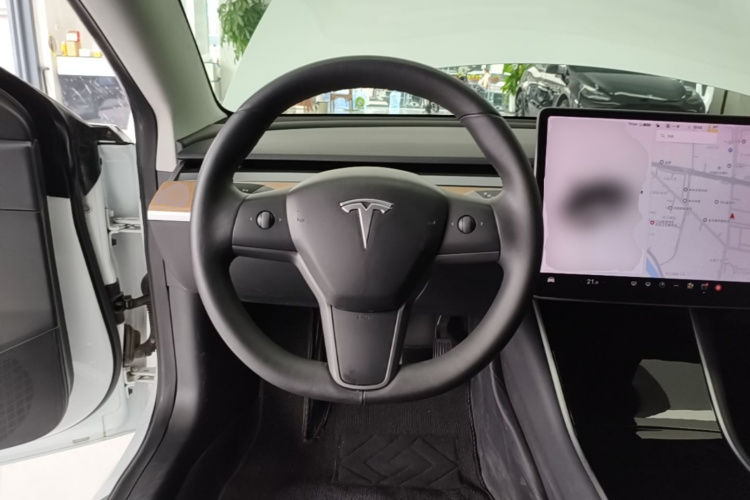 Tesla Model 3 2020 #15 Tesla Model 3 2020 car image #15