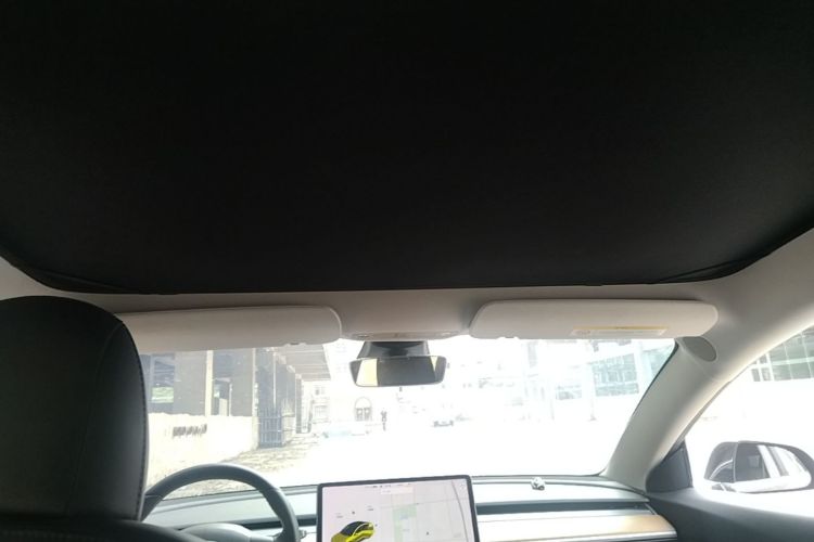 Tesla Model 3 2020 car image #18