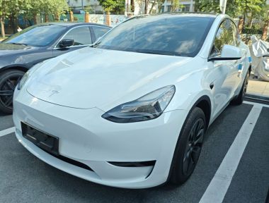 Tesla Model Y 2024 Tesla Model Y 2024 car image