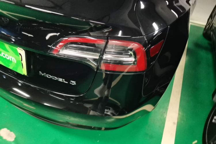 Tesla Model 3 2021 immagine di auto #8