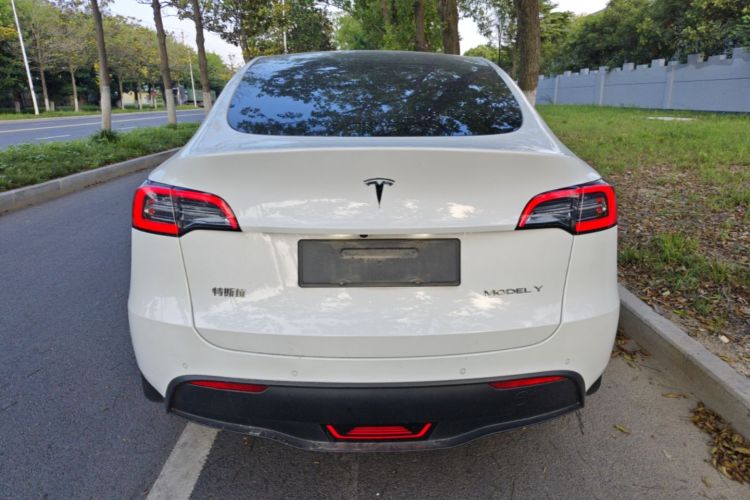 Tesla Model Y 2022 immagine di auto #6