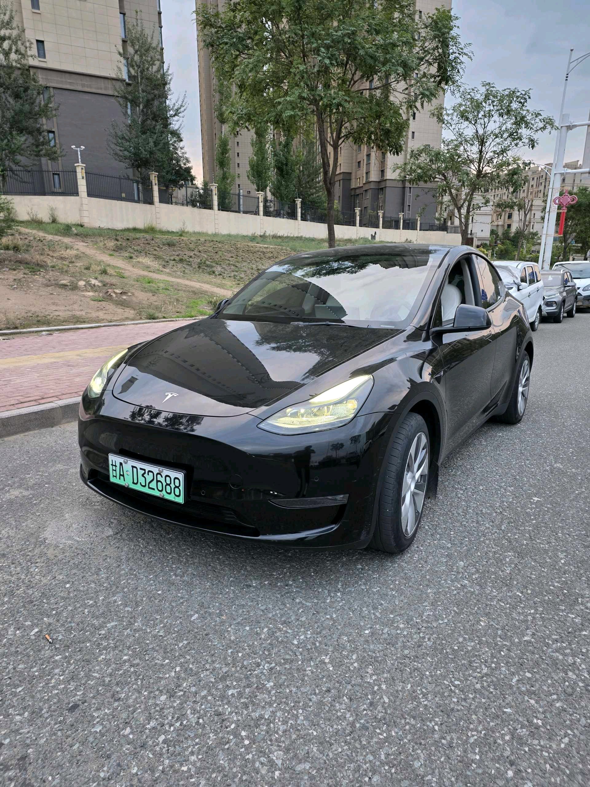 Tesla Model Y 2022 Tesla Model Y 2022 car image