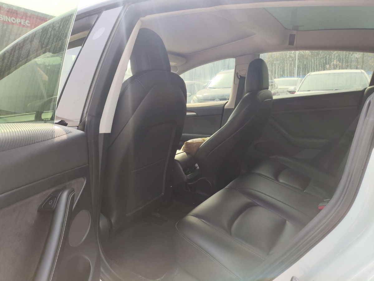 Tesla Model 3 2023 car image #5