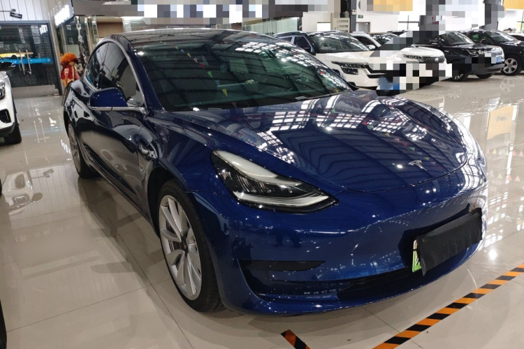 Tesla Model 3 2020 car image #4