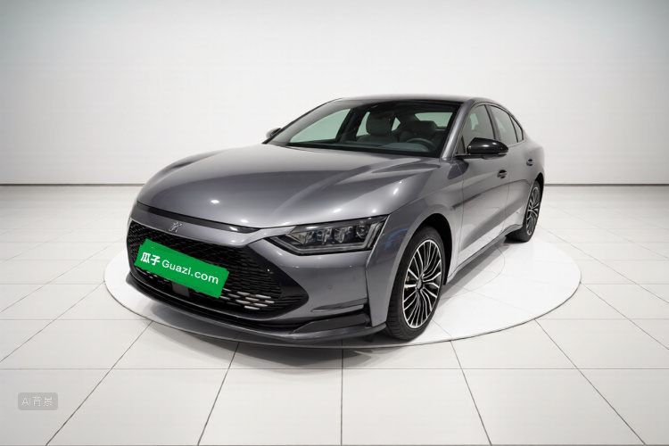 BYD Han 2020 immagine di auto #2