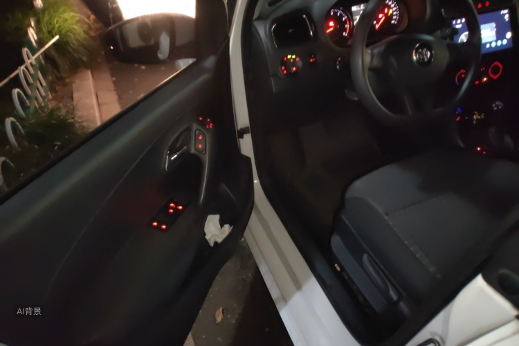 Volkswagen Polo 2015 car image #18