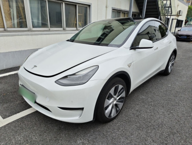 Tesla Model Y 2021 Tesla Model Y 2021 car image