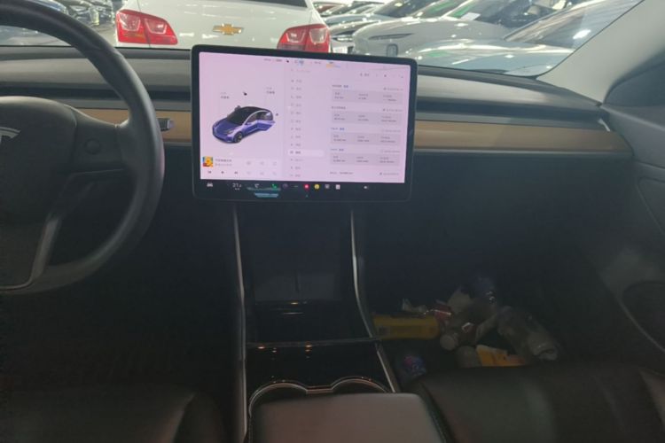 Tesla Model 3 2020 car image #13