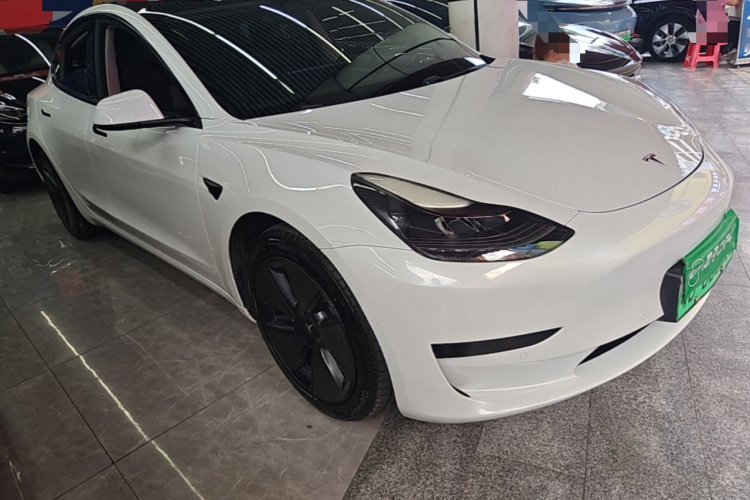 Tesla Model 3 2021 car image #6