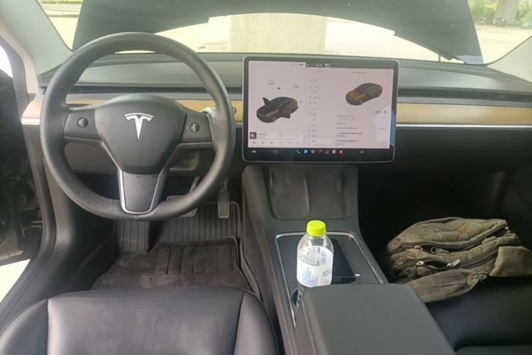Tesla Model 3 2021 #10 Tesla Model 3 2021 car image #10