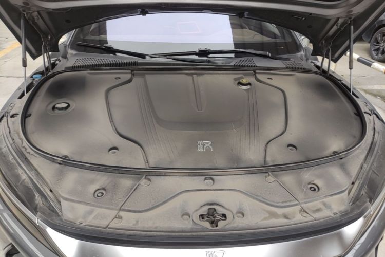 BYD Han 2021 car image #20