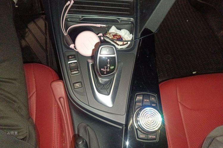 BMW 3 Series 2017 car image #16
