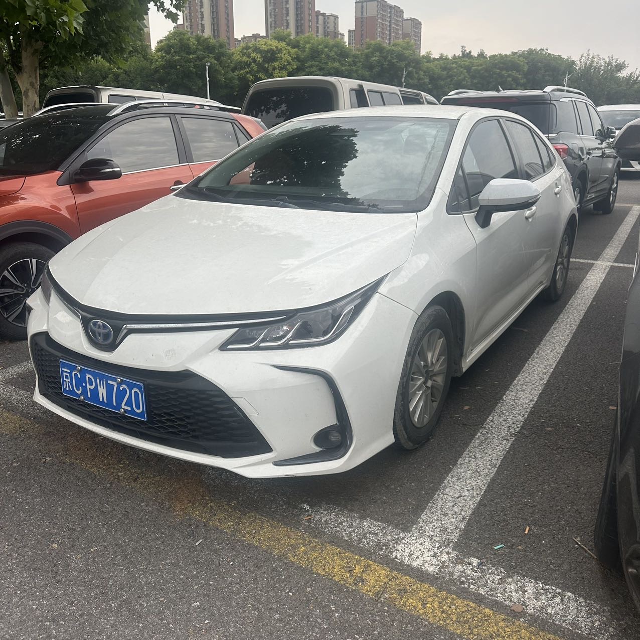 Toyota Corolla 2023 Toyota Corolla 2023 car image