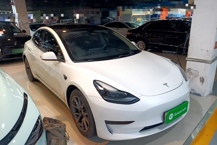 Tesla Model 3 2021 #4 Tesla Model 3 2021 car image #4