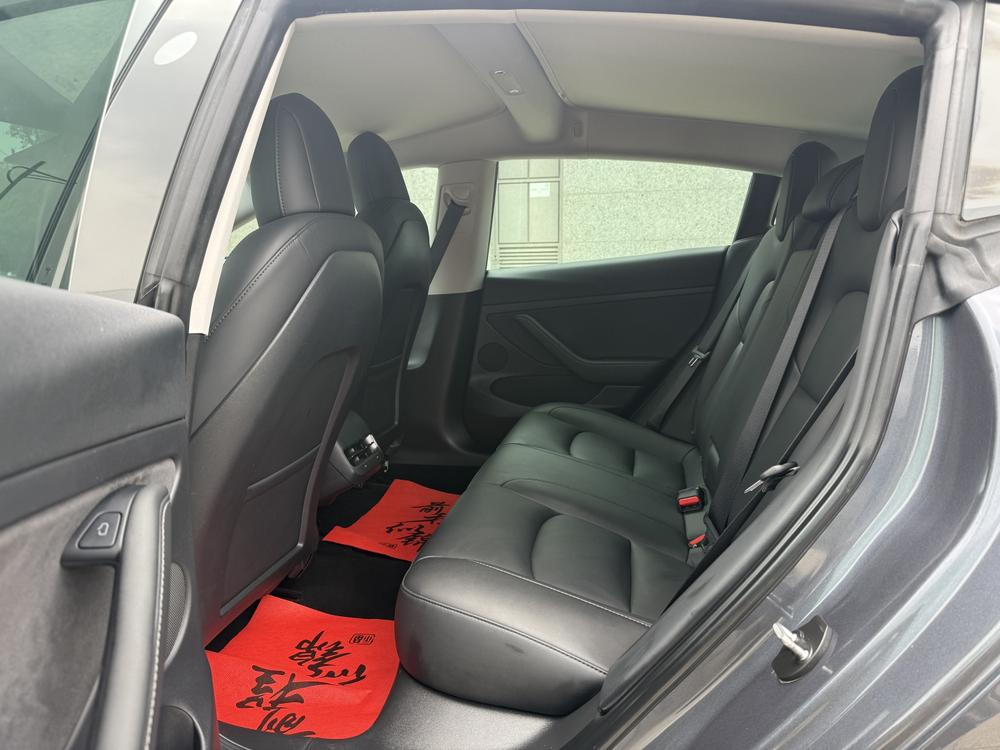 Tesla Model 3 2021 car image #13