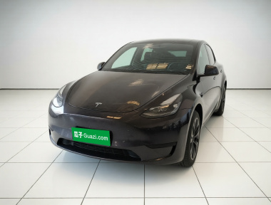Tesla Model Y 2024 Tesla Model Y 2024 car image