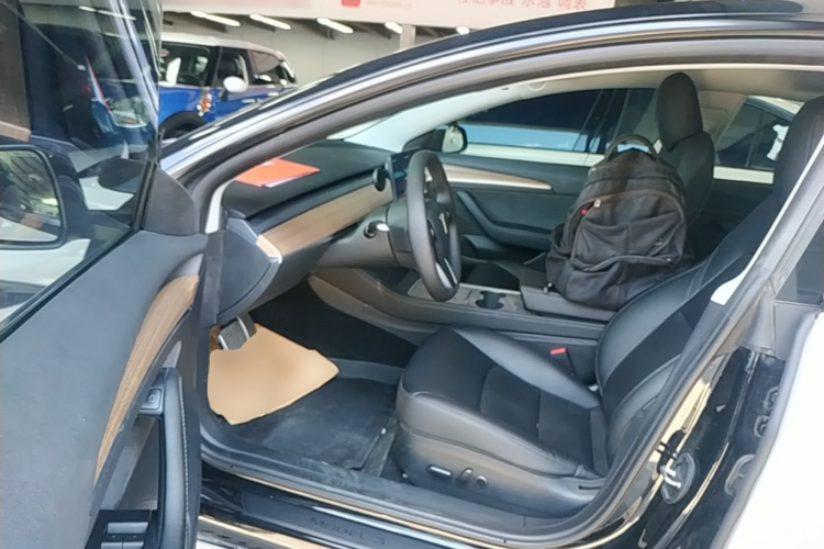 Tesla Model 3 2022 car image #12