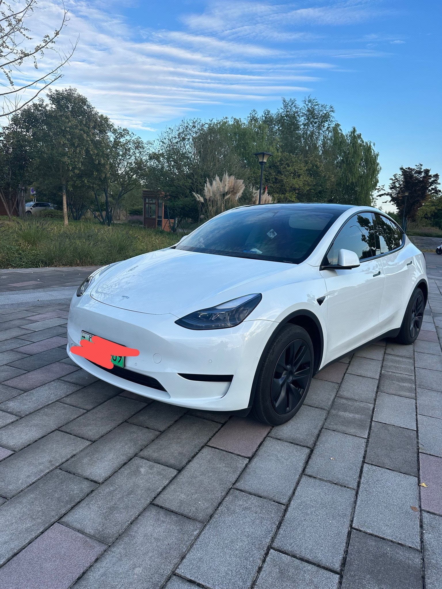特斯拉 Model Y 2024 汽车图片 