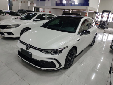 Volkswagen Golf 2022 car image 