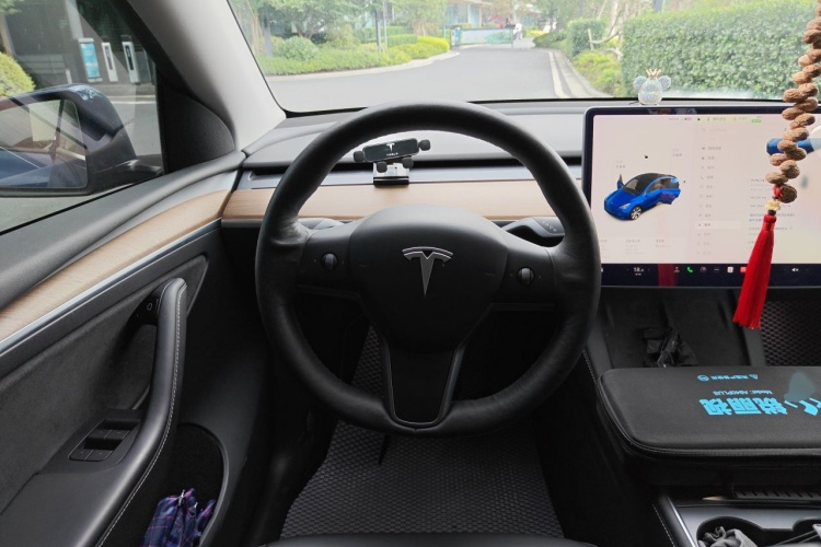 Tesla Model Y 2021 #15 Tesla Model Y 2021 car image #15