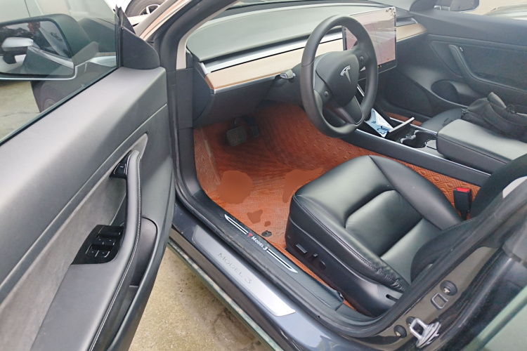 Tesla Model 3 2020 car image #12