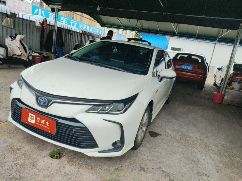 Toyota Corolla 2022 Toyota Corolla 2022 car image