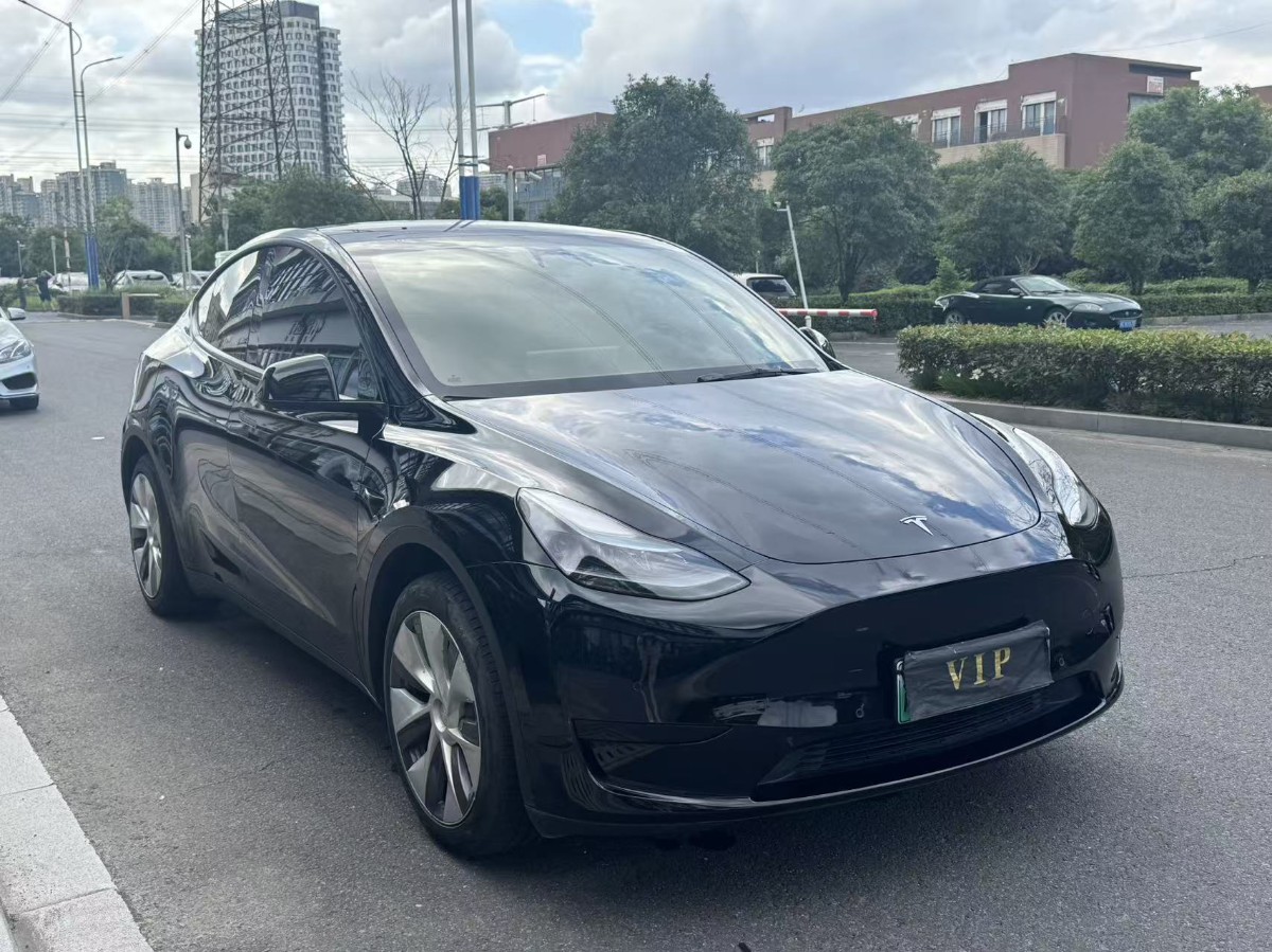 Tesla Model Y 2022 #2 Tesla Model Y 2022 car image #2