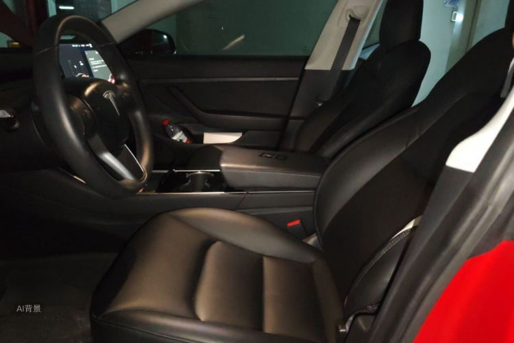 Tesla Model 3 2020 #17 Tesla Model 3 2020 صورة سيارة #17