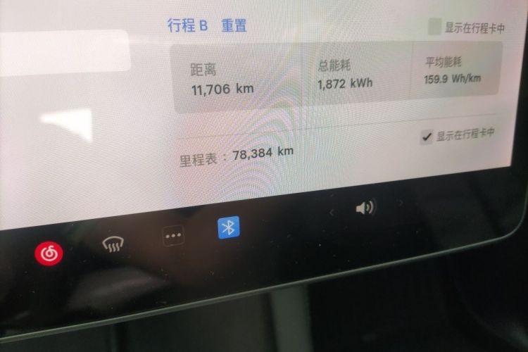 Tesla Model Y 2021 car image #10