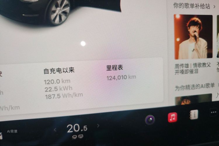 Tesla Model Y 2021 #14 Tesla Model Y 2021 car image #14