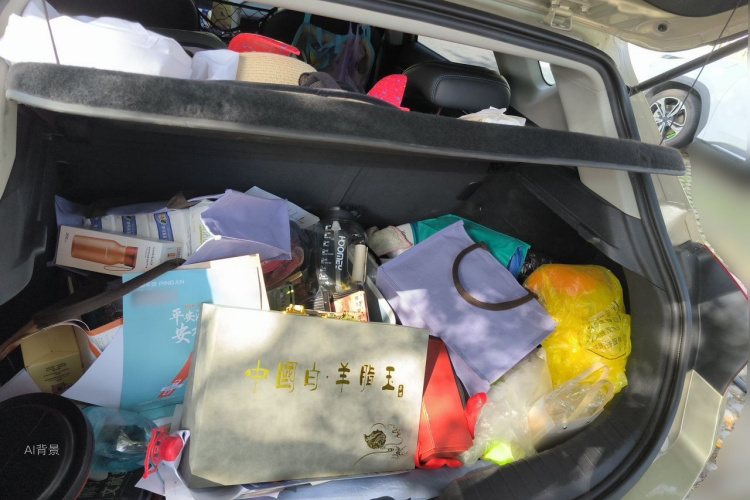 GEELY Emgrand GSe 2019 car image #21